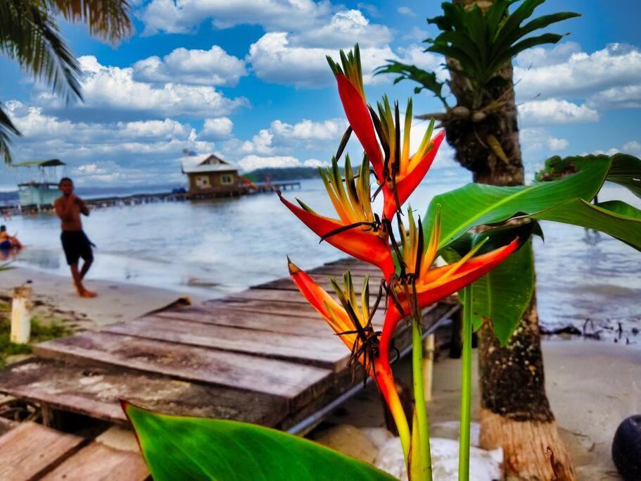 Poetry Garden Bocas Town Colon Island Villa Kültér fotó
