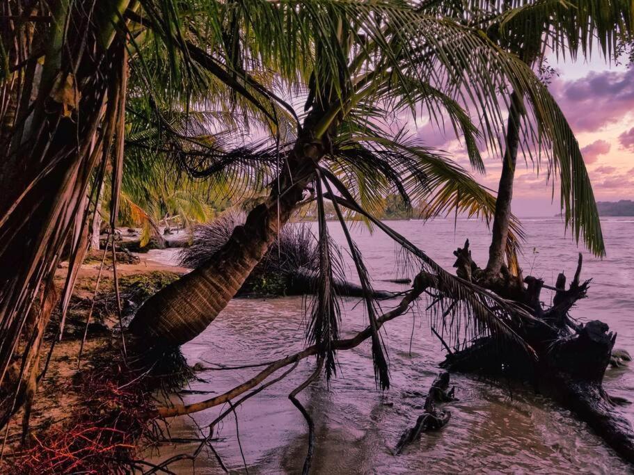 Poetry Garden Bocas Town Colon Island Villa Kültér fotó